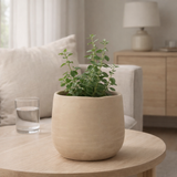 Pot de fleur J-Line Plain - céramique - beige - moyen - Ø 18 cm en situation