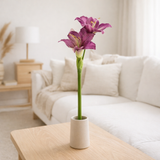 J-Line Amarylis Plastiek Paars 86Cm en situation