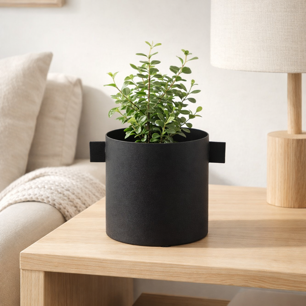 Pot de fleur J-Line Rond - fer - noir - petit - Ø 11 cm en situation