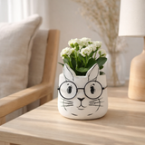 Pot de fleur J-Line Lapin - ciment - blanc - moyen en situation