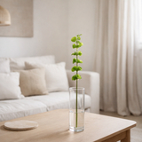 Cloches de branche J-Line d'Irlande en plastique vert petite en situation