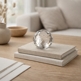 J -line Press Paper Bal - Crystal - Transparente - Medium en situation