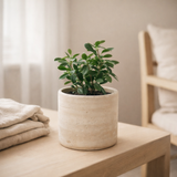 J -line Flowerpot Olina Round - Cement - Creme - Medium - Ø 14 cm en situation