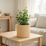 J-Line Bloempot Sunny - Ciment - Beige - Medium - Ø 20 cm en situation