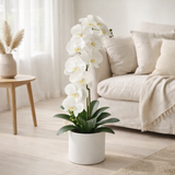 J-Line plantes Orchid In Soil - plastique - blanc/vert - extra large en situation