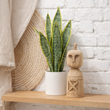 J-Line plantes Sansevieria en pot - plastique - vert - moyen en situation