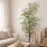 Plant j-line fines feuilles de vert en plastique / noir en situation