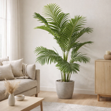 J-Line Palmier Areca Pot Artificiel Vert en situation
