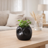 J -line Flowerpot Uil - Porcelaine - Black - Small - Ø 11 cm en situation