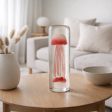 J -Line Presse Paper Kwal Cylinder - Verre - Rouge en situation