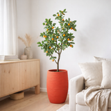 Oranger J-Line en pot - plastique - orange/vert - grand en situation