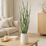 J-Line Plante succulente en pot vert artificiel en situation
