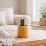 J -line Flowerpot Round - Ceramics - Oker - Extra Small - Ø 13,5 cm en situation