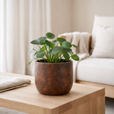J -line Bloempot Round Terra - Ceramics - Brown - Medium - Ø 18 cm en situation