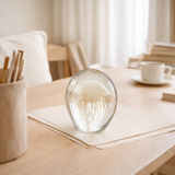 Papier presse J-Line Calypso - verre - transparent/beige - petit en situation
