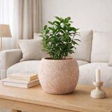 J -line Bloempot Round Terra - Pink / Gold - Large - Ø 24 cm en situation