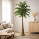 J-line Palmboom Zeegrass Nature Medium en situation