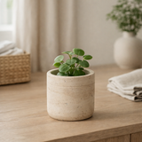 J -line Flowerpot Olina Round - Cement - Creme - Small - Ø 11 cm en situation