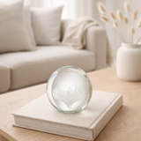 J -line press Paper aster rond - verre - transparent / blanc en situation