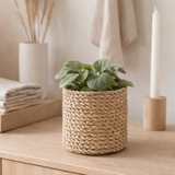 Petit panier en jonc de mer BHINNEKA | Panier à plantes | Panier Boho tissé | Jardinière | Panier décoratif | Petit panier de rangement | Panier à fleurs rond en situation