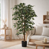 Plante artificielle Ficus Vert en situation
