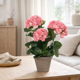 Plante artificielle Hortensia Rose en situation