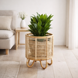 Support pour plantes en rotin, support pour pot de fleurs, MALANG beige en situation