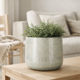 Pot de fleurs intérieur Benson Gris clair en situation