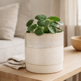 Pot de fleurs à l'intérieur d'Olof Crème en situation