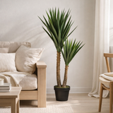 Plante artificielle Yucca Vert en situation