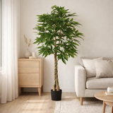 Plante artificielle Pachira Vert en situation