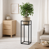 Support pour plantes Ascot Noir en situation