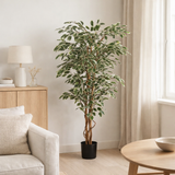 Plante artificielle Ficus Vert en situation