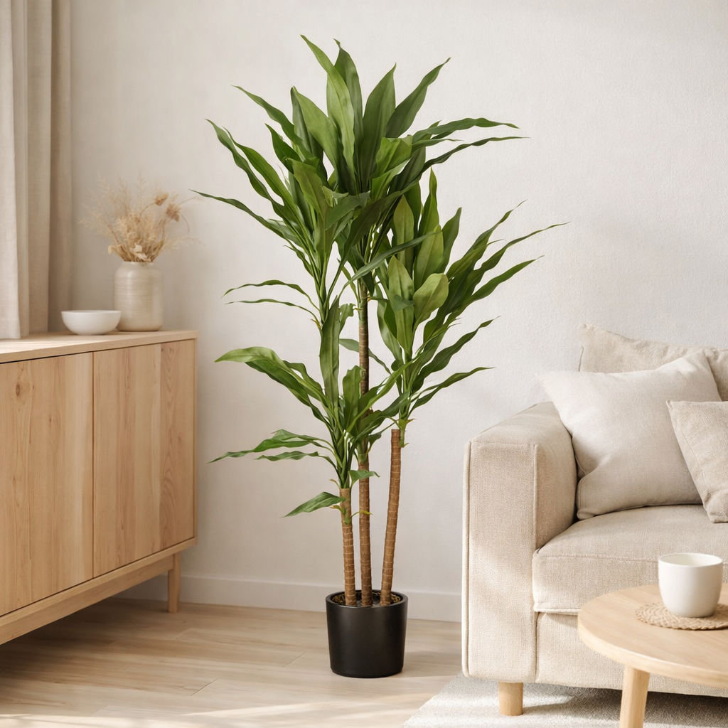 Plante artificielle Dracaena Vert en situation
