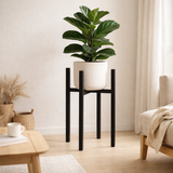 Support pour plantes Ascot Noir en situation