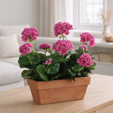 Plante artificielle Géranium Rose en situation