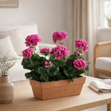 Plante artificielle Géranium Rose en situation