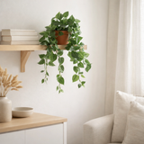 Plante suspendue artificielle Scindapsus suspendue Vert en situation
