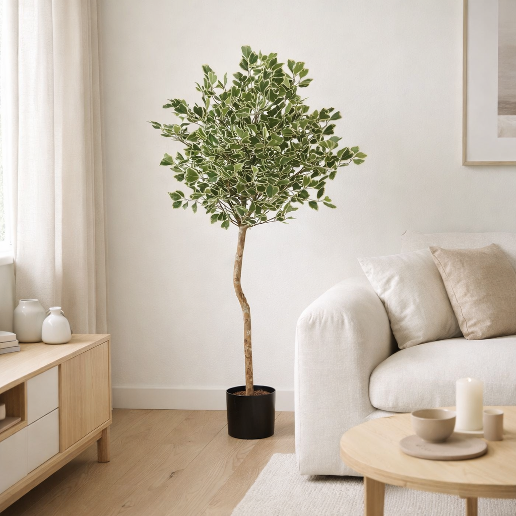 Plante artificielle Ficus Vert en situation