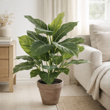 Plante artificielle Evergreen vert en situation