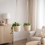 Coffret Plantenmand Atlantic Crème en situation