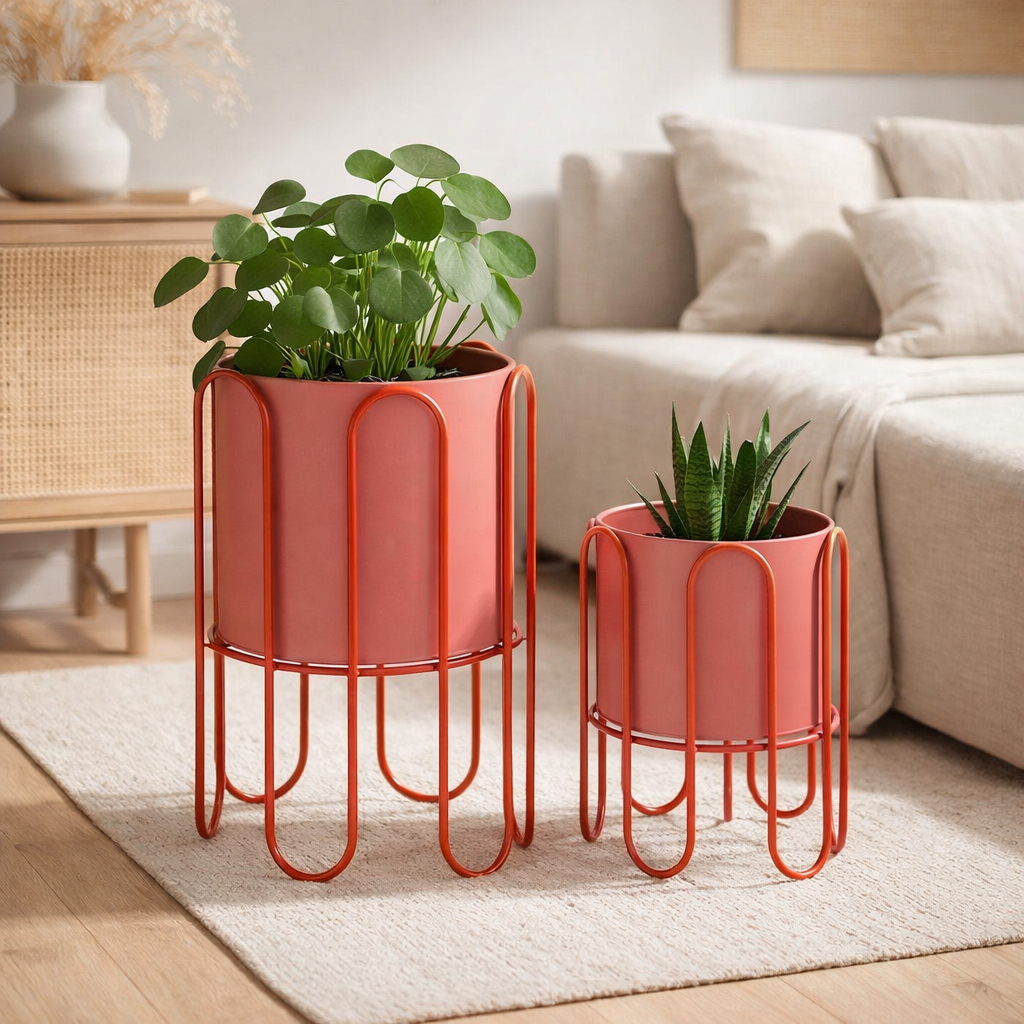 Ensemble de support pour plantes Dione Rose en situation