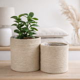 Coffret Plantenmand Atlantic Crème en situation