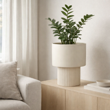 Pot de fleurs intérieur Lux Blanc cassé en situation
