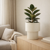 Pot de fleurs intérieur Lux Blanc cassé en situation