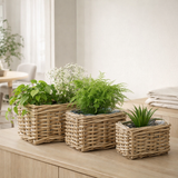 Ensemble de paniers à plantes d'extérieur Marcia Grey en situation