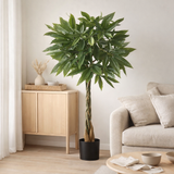 Plante artificielle Pachira Vert en situation