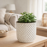 Pot de fleurs à l'intérieur de Daan Wit en situation