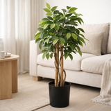 Plante artificielle Ficus Vert en situation
