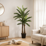 Plante artificielle Cycas vert en situation